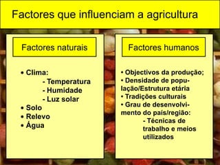Factores que influenciam a agricultura | PPTX
