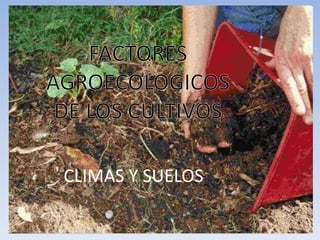 FACTORES AGROECOLOGICOS DE LOS CULTIVOS CLIMAS Y SUELOS 