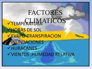 FACTORES CLIMATICOSTEMPERATURA
