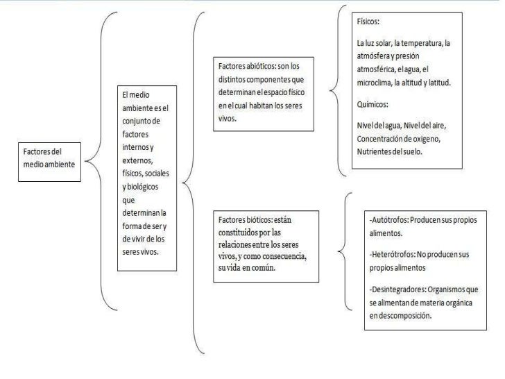 Factores ambientales