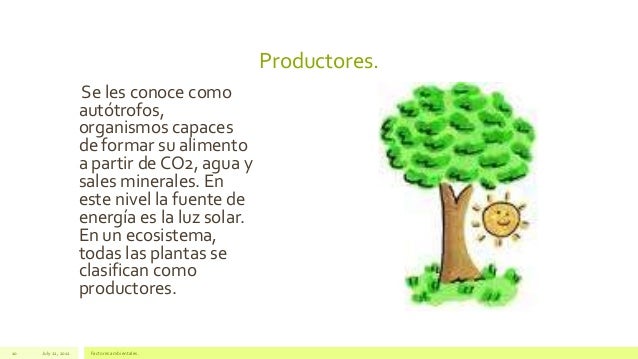 Factores ambientales en las plantas pdf