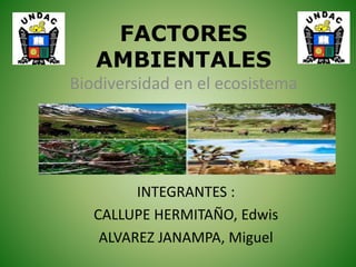 FACTORES
AMBIENTALES
INTEGRANTES :
CALLUPE HERMITAÑO, Edwis
ALVAREZ JANAMPA, Miguel
Biodiversidad en el ecosistema
 