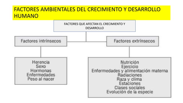 FACTORES AMBIENTALES DEL CRECIMIENTO Y DESARROLLO HUMANO.pptx