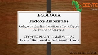 Docente: Biol.Lourdes Itzel Guzmán García
ECOLOGÍA
Factores Ambientales
29 de Enero del 2020
Colegio de Estudios Científicos y Tecnológicos
del Estado de Zacatecas.
CECyTEZ-PLANTEL MARAVILLAS
 
