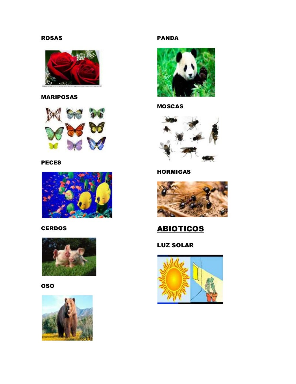 Factores bioticos