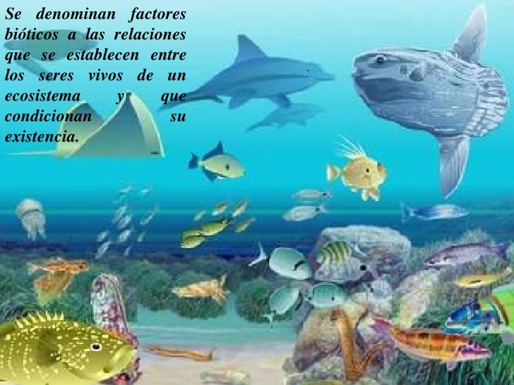 Factores Bióticos