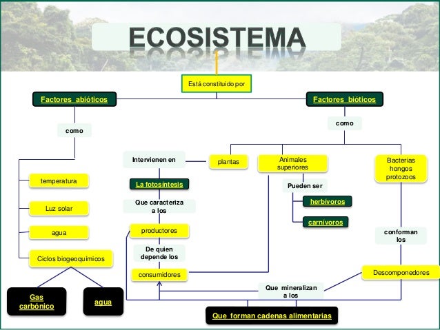 Factores bióticos y abióticos