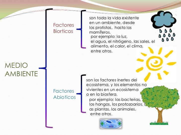 Factores bioticos y abioticos