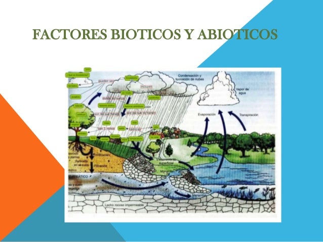 Factores bioticos y abioticos