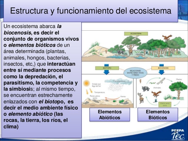 4.3 Ecosistemas Factores Bioticos y Abioticos