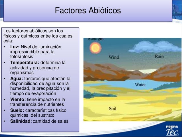 Ciencias Naturales 7