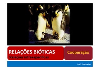 Cooperação
Relações intraespecíficas
                                Prof.ª Catarina Reis
 