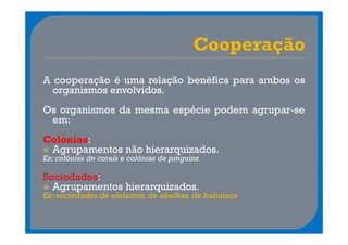A cooperação é uma relação benéfica para ambos os
  organismos envolvidos.
Os organismos da mesma espécie podem agrupar-se
 em:
Colónias:
 Agrupamentos não hierarquizados.
Ex: colónias de corais e colónias de pinguins

Sociedades:
  Agrupamentos hierarquizados.
Ex: sociedades de elefantes, de abelhas, de babuínos
 