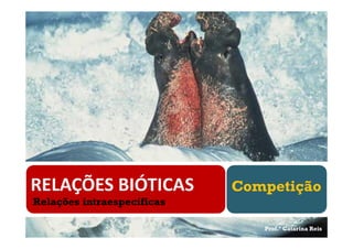 Competição
Relações intraespecíficas

                               Prof.ª Catarina Reis
 