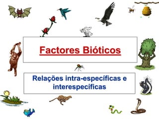 Factores Bióticos Relações intra-específicas e interespecíficas 