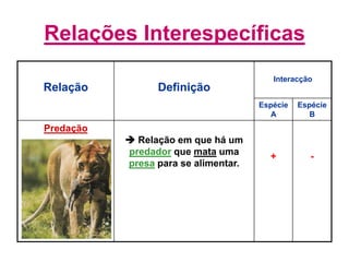 Relações Interespecíficas