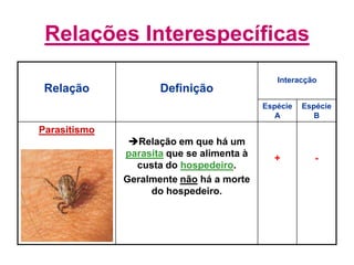 Relações Interespecíficas