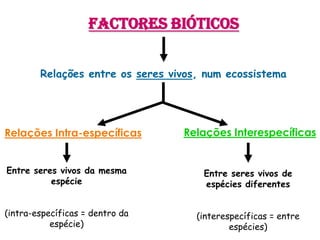 Factores BióticosRelações entre os seres vivos, num ecossistemaRelações InterespecíficasRelações Intra-específicasEntre seres vivos da mesma espécie(intra-específicas = dentro da espécie)Entre seres vivos de espécies diferentes(interespecíficas = entre espécies)