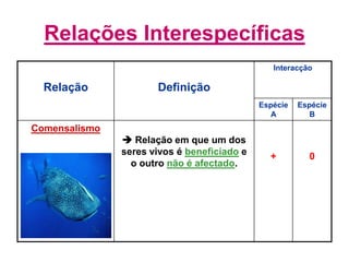 Relações Interespecíficas