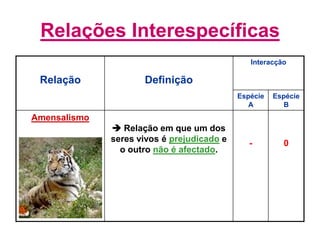Relações Interespecíficas