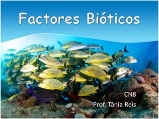 Factores Bióticos CN8 Prof. Tânia Reis 
