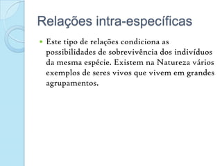 Relações intra-específicasEste tipo de relações condiciona as possibilidades de sobrevivência dos indivíduos da mesma espécie. Existem na Natureza vários exemplos de seres vivos que vivem em grandes agrupamentos.