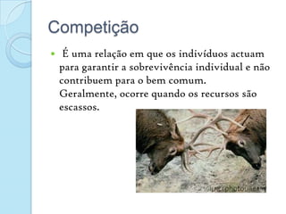 Competição É uma relação em que os indivíduos actuam para garantir a sobrevivência individual e não contribuem para o bem comum. Geralmente, ocorre quando os recursos são escassos.