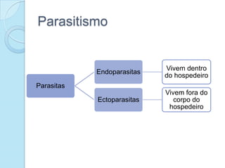 Parasitismo