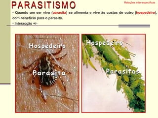 Relações inter-específicas  Quando um ser vivo ( parasita ) se alimenta e vive às custas de outro ( hospedeiro ), com benefício para o parasita.  Interacção +/-  PARASITISMO Parasita Hospedeiro Hospedeiro Parasitas 