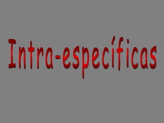 Intra-específicas 