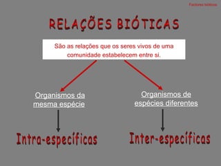 RELAÇÕES BIÓTICAS Factores bióticos  São as relações que os seres vivos de uma comunidade estabelecem entre si. Inter-específicas Intra-específicas Organismos da mesma espécie   Organismos de espécies diferentes 