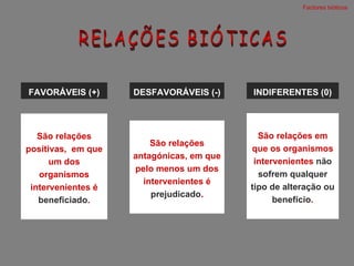 RELAÇÕES BIÓTICAS FAVORÁVEIS (+) Factores bióticos  DESFAVORÁVEIS (-) INDIFERENTES (0) São relações positivas,  em que um dos organismos intervenientes é  beneficiado . São relações antagónicas, em que pelo menos um dos intervenientes é  prejudicado . São relações em que os organismos intervenientes  não sofrem qualquer tipo de alteração ou benefício . 