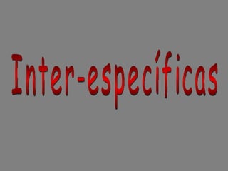 Inter-específicas 