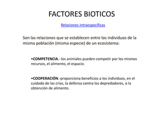 FACTORES BIOTICOS
Relaciones intraespecíficas
Son las relaciones que se establecen entre los individuos de la
misma población (misma especie) de un ecosistema:
•COMPETENCIA.- los animales pueden competir por los mismos
recursos, el alimento, el espacio.
•COOPERACIÓN.-proporciona beneficios a los individuos, en el
cuidado de las crias, la defensa contra los depredadores, o la
obtención de alimento.
 