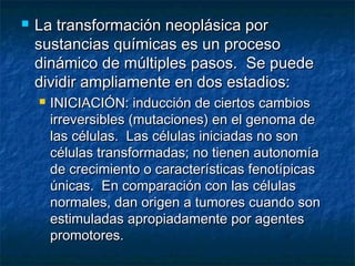    La transformación neoplásica por
    sustancias químicas es un proceso
    dinámico de múltiples pasos. Se puede
    dividir ampliamente en dos estadios:
       INICIACIÓN: inducción de ciertos cambios
        irreversibles (mutaciones) en el genoma de
        las células. Las células iniciadas no son
        células transformadas; no tienen autonomía
        de crecimiento o características fenotípicas
        únicas. En comparación con las células
        normales, dan origen a tumores cuando son
        estimuladas apropiadamente por agentes
        promotores.
 