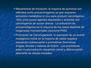    Mecanismos de Iniciación: la mayoría de químicos son
    referidos como procarcinógenos ya que requieren
    activación metabólica in vivo para producir carcinógenos.
     Sólo unos pocos agentes alquilantes y acilantes son
    carcinógenos de acción directa. La activación de
    procarcinógenos en la mayoría de los casos depende de
    oxigenasas microsomales citocromo P450.
   Promoción de Carcinogénesis: la expresión de un evento
    mutagénico inicial en la mayoría de casos requiere
    exposición subsecuente a promotores (hormonas,
    drogas, fenoles y esteres de forbol). Los promotores
    están involucrados en expansión clonal y diferenciación
    aberrante de células iniciadas.
 
