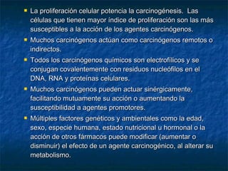    La proliferación celular potencia la carcinogénesis. Las
    células que tienen mayor índice de proliferación son las más
    susceptibles a la acción de los agentes carcinógenos.
   Muchos carcinógenos actúan como carcinógenos remotos o
    indirectos.
   Todos los carcinógenos químicos son electrofílicos y se
    conjugan covalentemente con residuos nucleófilos en el
    DNA, RNA y proteínas celulares.
   Muchos carcinógenos pueden actuar sinérgicamente,
    facilitando mutuamente su acción o aumentando la
    susceptibilidad a agentes promotores.
   Múltiples factores genéticos y ambientales como la edad,
    sexo, especie humana, estado nutricional u hormonal o la
    acción de otros fármacos puede modificar (aumentar o
    disminuir) el efecto de un agente carcinogénico, al alterar su
    metabolismo.
 