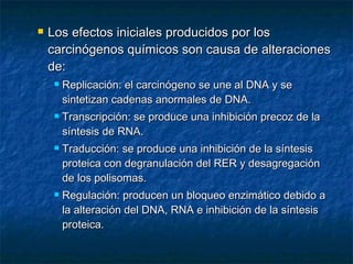    Los efectos iniciales producidos por los
    carcinógenos químicos son causa de alteraciones
    de:
        Replicación: el carcinógeno se une al DNA y se
         sintetizan cadenas anormales de DNA.
        Transcripción: se produce una inhibición precoz de la
         síntesis de RNA.
        Traducción: se produce una inhibición de la síntesis
         proteica con degranulación del RER y desagregación
         de los polisomas.
        Regulación: producen un bloqueo enzimático debido a
         la alteración del DNA, RNA e inhibición de la síntesis
         proteica.
 