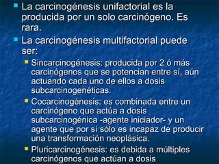    La carcinogénesis unifactorial es la
    producida por un solo carcinógeno. Es
    rara.
   La carcinogénesis multifactorial puede
    ser:
       Sincarcinogénesis: producida por 2 ó más
        carcinógenos que se potencian entre sí, aún
        actuando cada uno de ellos a dosis
        subcarcinogenéticas.
       Cocarcinogénesis: es combinada entre un
        carcinógeno que actúa a dosis
        subcarcinogénica -agente iniciador- y un
        agente que por sí sólo es incapaz de producir
        una transformación neoplásica.
       Pluricarcinogénesis: es debida a múltiples
        carcinógenos que actúan a dosis
 