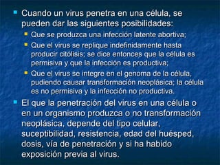    Cuando un virus penetra en una célula, se
    pueden dar las siguientes posibilidades:
       Que se produzca una infección latente abortiva;
       Que el virus se replique indefinidamente hasta
        producir citólisis; se dice entonces que la célula es
        permisiva y que la infección es productiva;
       Que el virus se integre en el genoma de la célula,
        pudiendo causar transformación neoplásica; la célula
        es no permisiva y la infección no productiva.
   El que la penetración del virus en una célula o
    en un organismo produzca o no transformación
    neoplásica, depende del tipo celular,
    suceptibilidad, resistencia, edad del huésped,
    dosis, vía de penetración y si ha habido
    exposición previa al virus.
 