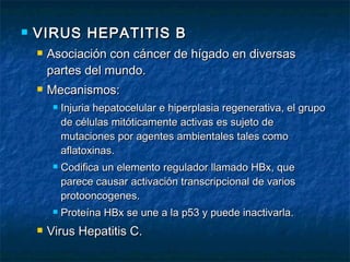    VIRUS HEPATITIS B
       Asociación con cáncer de hígado en diversas
        partes del mundo.
       Mecanismos:
            Injuria hepatocelular e hiperplasia regenerativa, el grupo
             de células mitóticamente activas es sujeto de
             mutaciones por agentes ambientales tales como
             aflatoxinas.
            Codifica un elemento regulador llamado HBx, que
             parece causar activación transcripcional de varios
             protooncogenes.
            Proteína HBx se une a la p53 y puede inactivarla.
       Virus Hepatitis C.
 