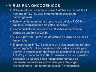    VIRUS RNA ONCOGÉNICOS
       Sólo un retrovirus humano: Virus Linfotrópico de células T
        humano (HTLV-1), está firmemente implicado en
        carcinogénesis.
       Este virus tiene un fuerte tropismo por células T CD4+ y
        causa leucemia/linfoma de estos linfocitos.
       Leucemia/linfoma asociado a HTLV-1es endémico en
        partes de Japón y el Caribe.
       El DNA proviral HTLV-1 es detectado en DNA de células T
        leucémicas.
       El genoma del HTLV-1 contiene un único segmento referido
        como región tax. Las proteínas codificadas por este gen
        activan la transcripción del factor de crecimiento de células
        T IL-12 y su receptor IL-12R. El resultado es la expansión
        policlonal de células T con riesgo incrementado de
        desarrollar mutaciones adicionales para dar origen
        eventualmente a un tumor de células T monoclonal.
 