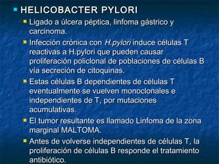    HELICOBACTER PYLORI
       Ligado a úlcera péptica, linfoma gástrico y
        carcinoma.
       Infección crónica con H.pylori induce células T
        reactivas a H.pylori que pueden causar
        proliferación policlonal de poblaciones de células B
        vía secreción de citoquinas.
       Estas células B dependientes de células T
        eventualmente se vuelven monoclonales e
        independientes de T, por mutaciones
        acumulativas.
       El tumor resultante es llamado Linfoma de la zona
        marginal MALTOMA.
       Antes de volverse independientes de células T, la
        proliferación de células B responde el tratamiento
        antibiótico.
 