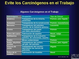 Factores carcinogenicos