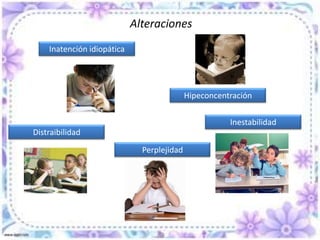 Evaluación de la AtenciónKirk y Chalfant1. Obtener información precisa y detallada sobre la conducta objeto2. Identificar las situaciones3. Identificar las posibles variables instruccionales4. Identificar los factores emocionales y experienciales5. Seleccionar objetos atencionales
