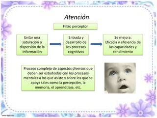 Características destacadas Capacidad AtencionalAtención selectivaCapacidad del sujeto para atender la información relevante, es voluntariaConjunto de información a la que el sujeto puede prestar atención .