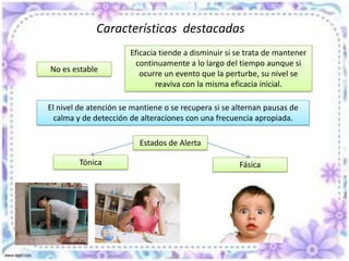 Características  destacadas División de la atención Tiene lugar cuando se consideran simultáneamente varias informaciones que deben ser tenidas en cuenta, sean en el orden perceptivo o intelectual, para realizar distintas tareas.Aprendizaje de hábitos y acciones hasta la automatización.