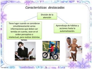 Características destacadas Selección InvoluntariaVoluntaria Es aquella que se puede concentrar a voluntad en un objeto o estímulo aun cuando no sea de nuestro interés .Es aquella que se capta directamente por un estímulo intenso, nuevo o interesante.Es propia del niño pequeño y es la única que tienen los animales.La edad cronológica no es garantía.Elemento determinante es el Lenguaje.Desaparece por falta o continuidad de estímulo.Voluvilidad, poca amplitud y corta duración.