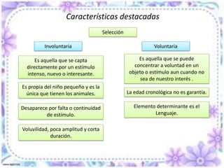 La atención es importante en el aprendizaje por…Es el vehículo  inicial para que todas las aptitudes puedan rendir e intervenir en cualquier proceso.Capacidad:  es el nivel de respuesta que es de esperar por la edad cronológica. Condicionamientos neurológicos o madurativos severos.Rendimiento: en función de la edad cronológica, el niño debe responder a estímulos a los  que no responde debido a motivos tanto del estímulo, como de las condiciones ambientales y actitudinales del propio sujeto.Hábitos: es de gran trascendencia que el niño tenga unos hábitos de trabajo y un nivel de madure que le permitan ser responsable y no dejarse llevar por estímulos exteriores.