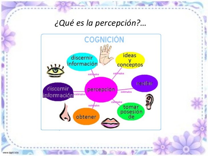 Factores cognitivos percepcion